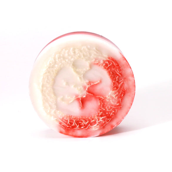 Peppermint Loofah --- Exfoliating Body Soap