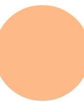 Pastel Neon Orange--- Matte Gel Liner